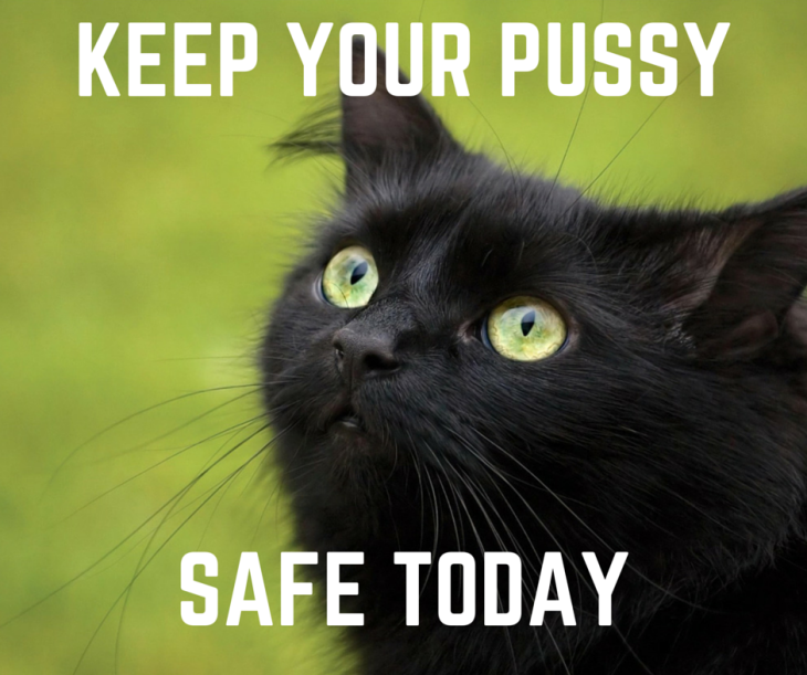 black cat friday 13 keep your pussy safe